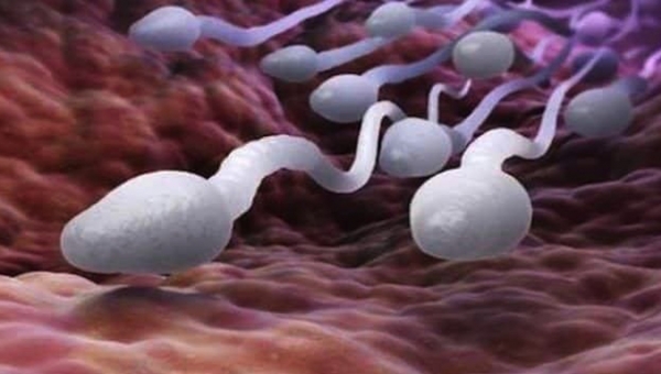Causes of Infertility in Males and Possible Treatments at Our North Houston Fertility Clinic